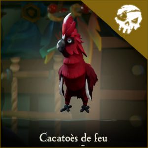 cacatoès Emporium articles novembre 2019