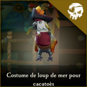 Emporium articles novembre 2019